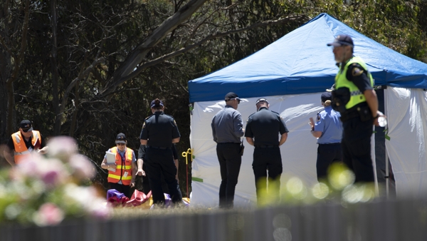 Authorities at the time said the children were thrown from a height of about 10 metres (file image)