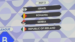 Ireland avoided recent World Cup qualifying opponents Serbia as they were both in Pot 3