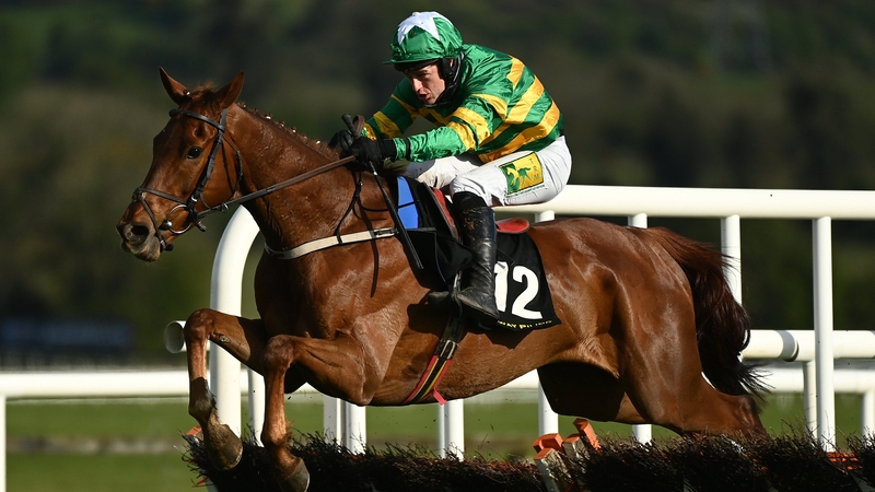 Jody McGarvey and Capodanno, pictured at Punchestown earlier this year