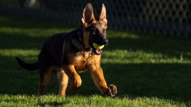 Commander is now resident at the White House