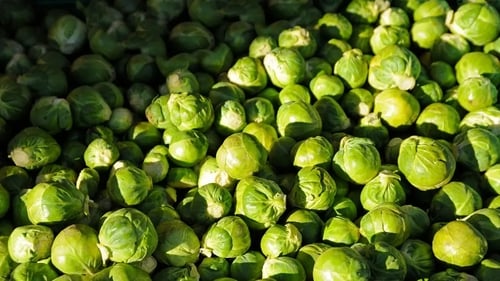 These brassicas are worthy of our attention all winter long, says Ella Walker – and these chefs know how to get the most out of them.