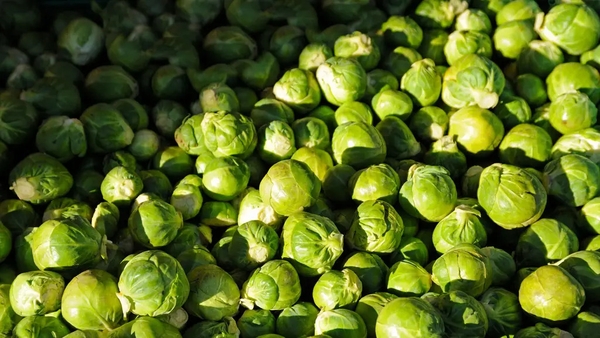 These brassicas are worthy of our attention all winter long, says Ella Walker – and these chefs know how to get the most out of them.
