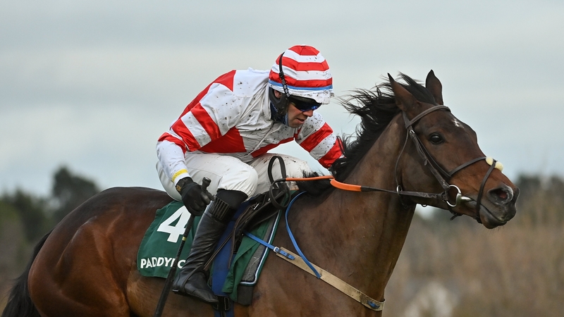 The winner got the verdict by a short head