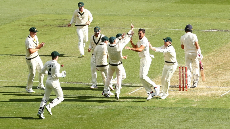 Mitchell Starc of Australia celebrates with teammates after dismissing Dawid Malan