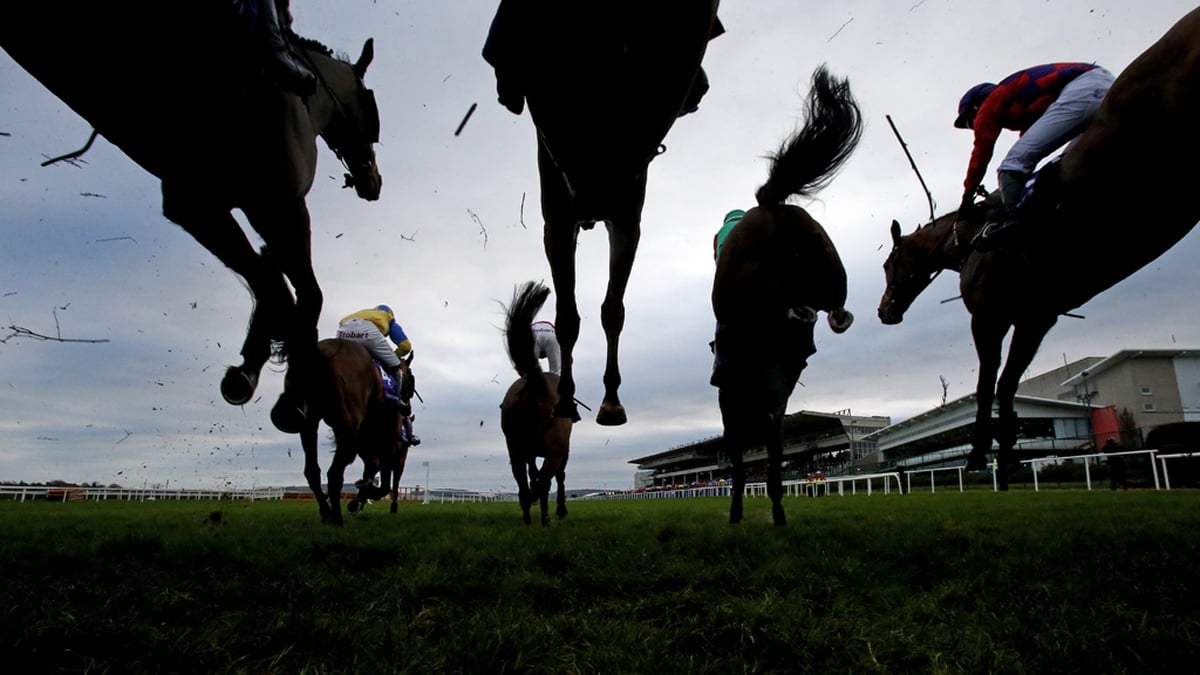 Leopardstown racing