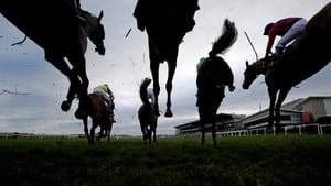 Leopardstown racing show image