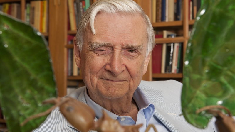 Edward O Wilson was an award-winning biologist and longtime Harvard University research professor