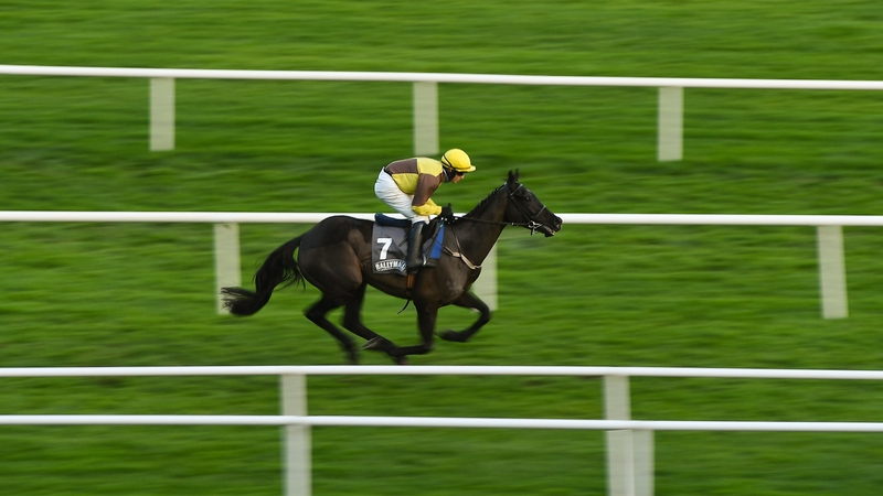 Galopin Des Champs and Paul Townend on their way to winning the Ballymaloe Relish Beginners Steeplechase