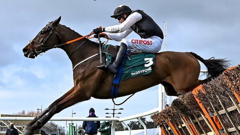 Flooring Porter during the 2021 Cheltenham Festival