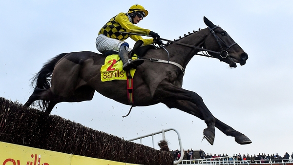 Al Boum Photo won 10 of his 23 starts