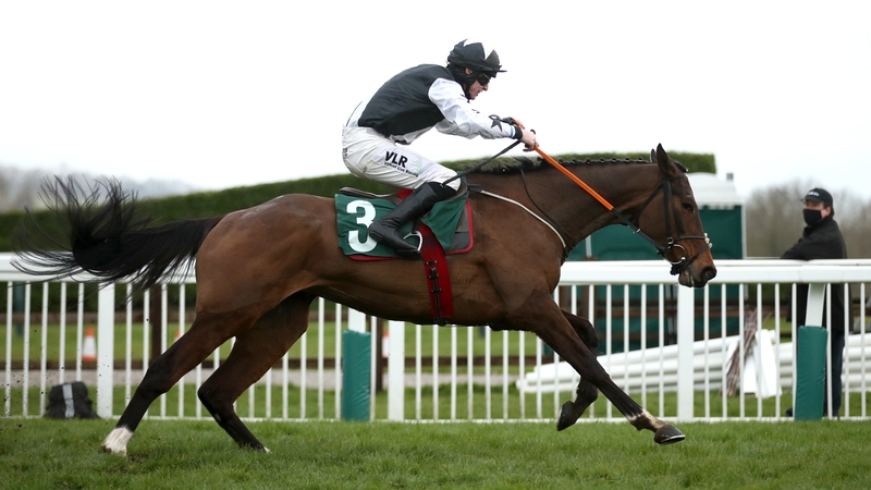 Mount Ida has yet to finish outside the first three in seven starts over fences