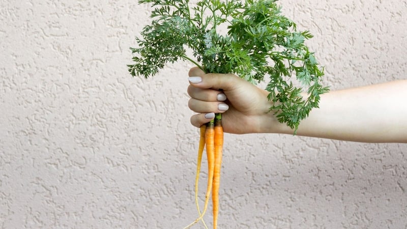 Cooking in the new year could bring some surprises. Lauren Taylor rounds up the trends.