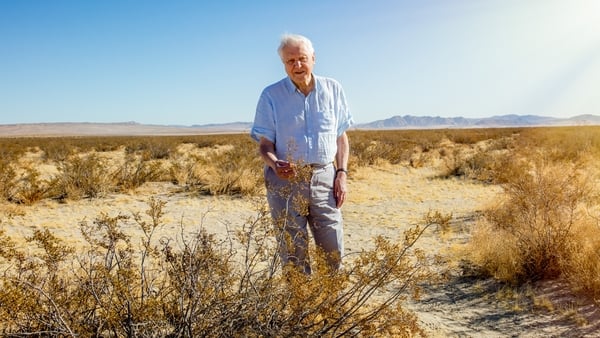 The eco-legend tells us all about his new TV show.