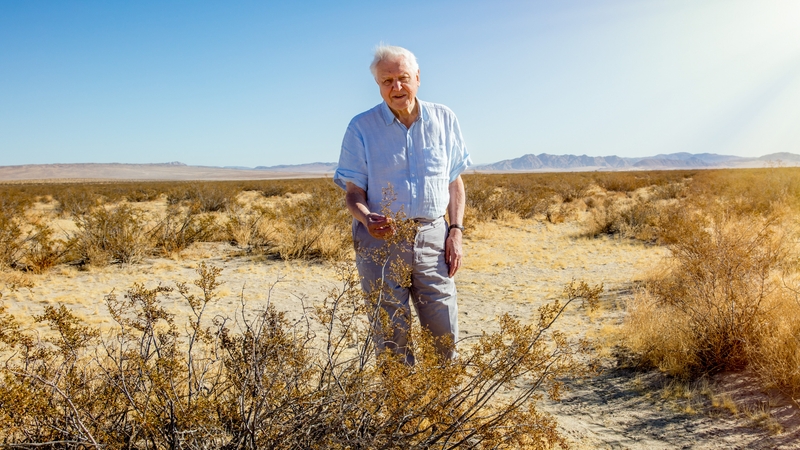 The eco-legend tells us all about his new TV show.