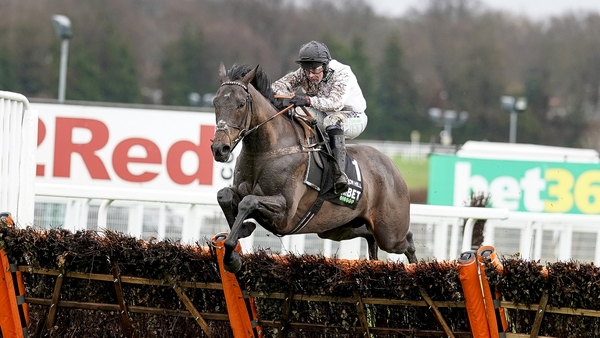 The market favours Constitution Hill of the Nicky Henderson pair