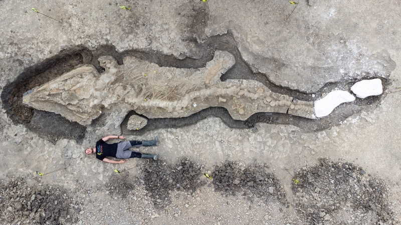 A researcher poses next to the find (Handout from Anglian Water, via PA Images)