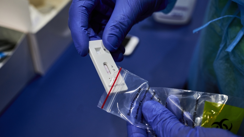 The Covid-19 pandemic could settle down this year, says WHO