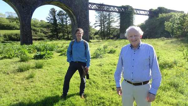 Ar aistear ó dheas: Droichid na hÉireann