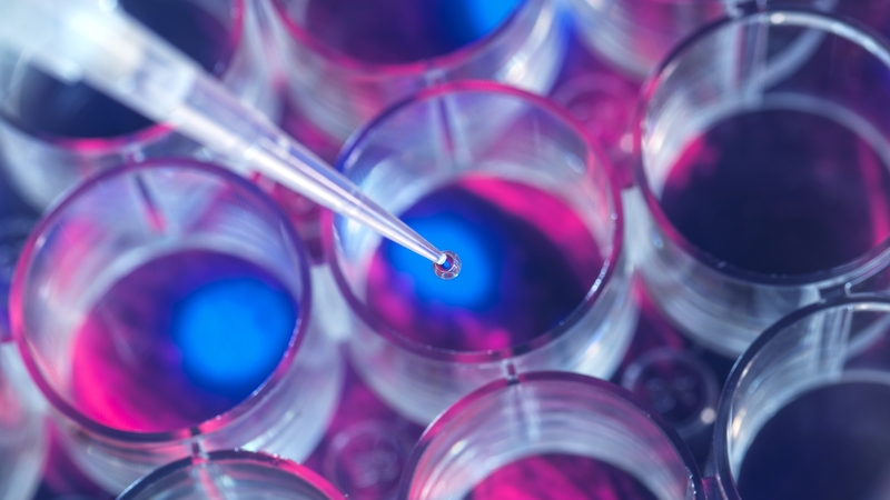 New legislation, in the form of a new research bill, will be needed to create this new statutory research and innovation funding body