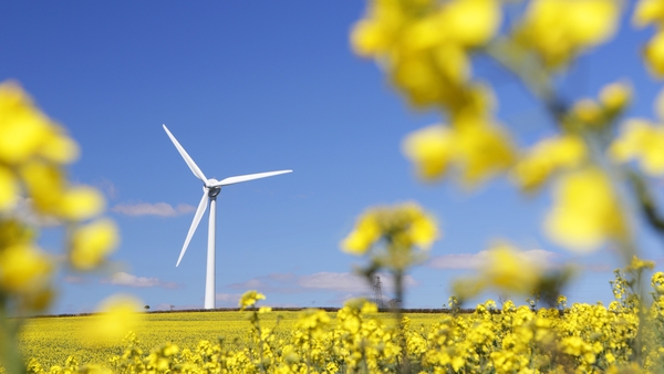 Wind Energy Ireland argues there is sufficient wind in Ireland to produce hydrogen for Ireland and for export (stock image)