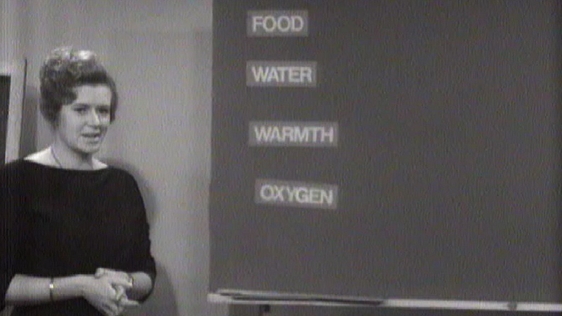 Patricia Boyle presents 'Telefís Scoile' (1967)