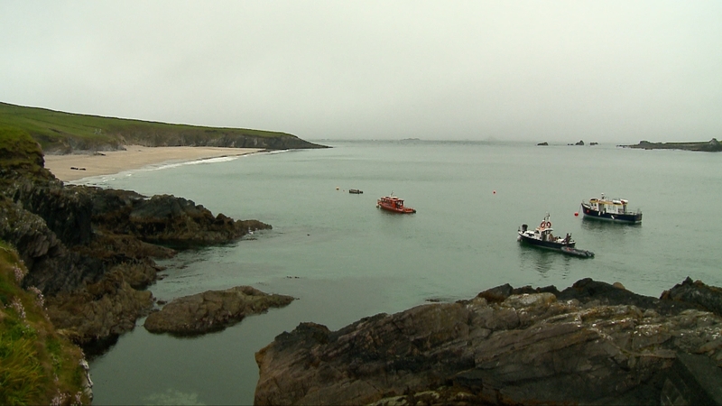 Conservationists are concerned about the possible impact the construction of a new pier could have