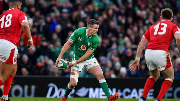 Johnny Sexton has fully recovered from injury and illness