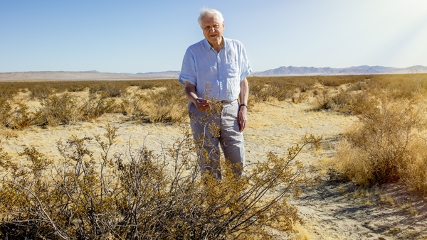 David Attenborough
