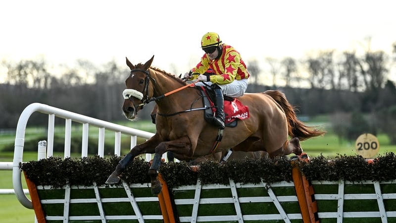 Klassical Dream was well-beaten as Royal Kahala hopped over the final fence