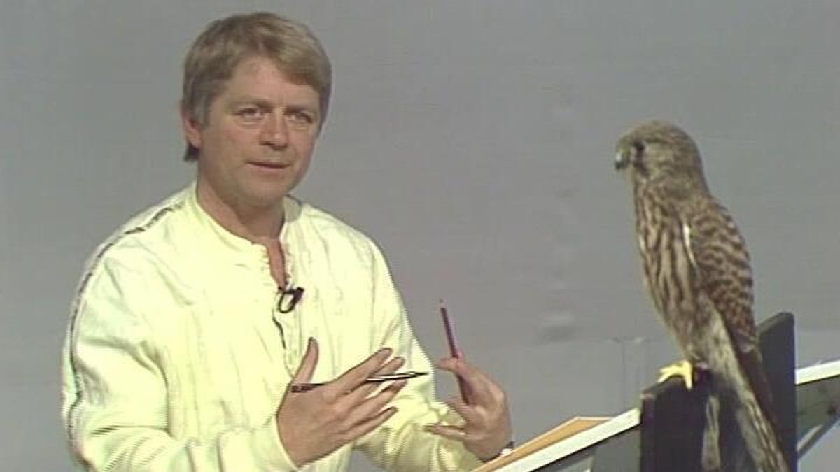 A Reflection On The Natural World By Don Conroy