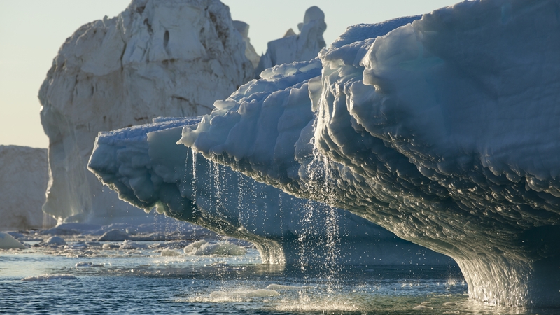 The west coast of Greenland is particularly affected, according to the data