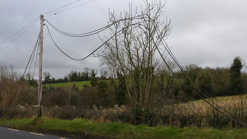 Gardaí said the overground cables are being targeted for the valuable copper contained within the cable