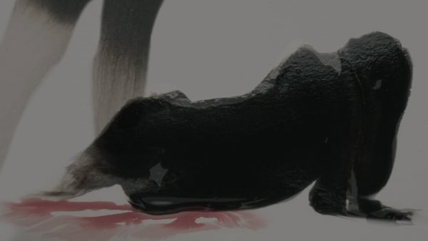 Ink Flow Animation