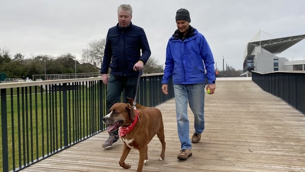 Dudes and Dogs walking group encourages men to talk more openly about their mental health.
