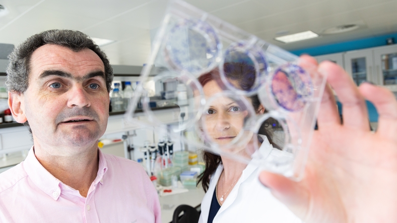 Prof Seamus O'Reilly and Dr Tracey O'Donovan are involved in the trial