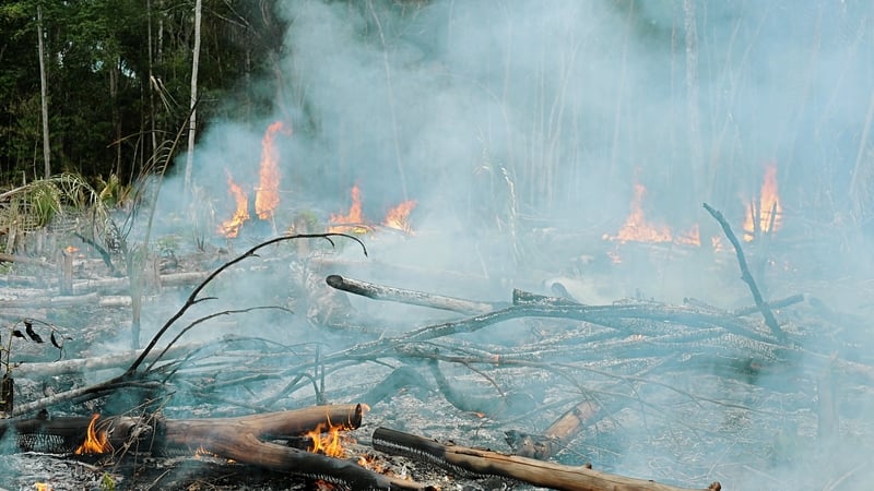 The month of January recorded the 'highest hot spot values in the last 10 years' (file image)