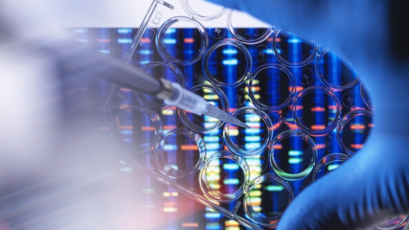 The scientists plan to be able to create personalised implants to repair tissue damaged from injury (Stock image)