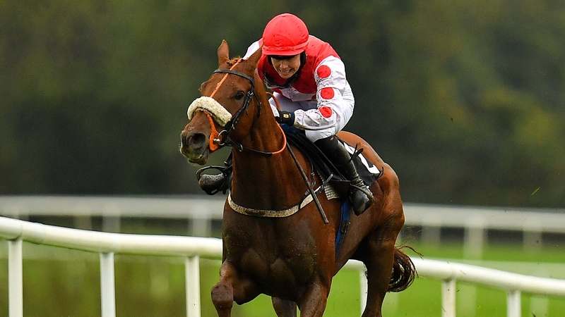 Colonel Mustard finished 12 lengths behind Sir Gerhard at the Dublin Racing Festival