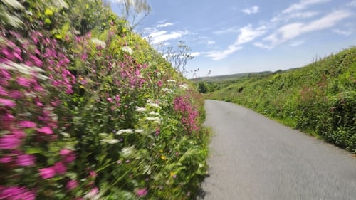 Farmers should receive payments for sustainable management of their hedgerow boundaries, the committee heard