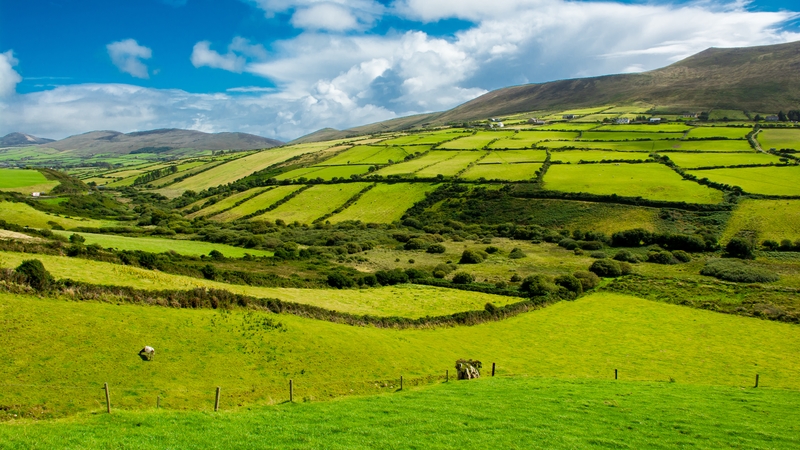 The European Commission had instructed that 20% of all land and sea be designated for nature restoration by 2030