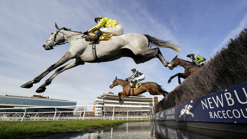 Eldorado Allen (near side) clears the water jump at Newbury