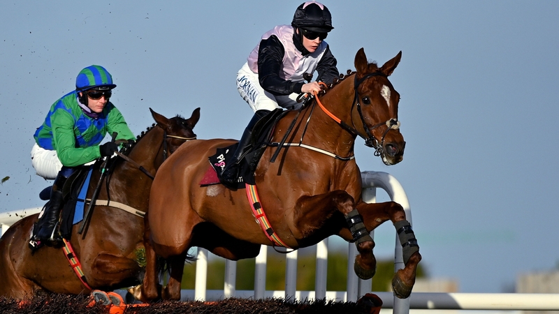 Journey With Me shaped like a horse who will improve for a step up in trip