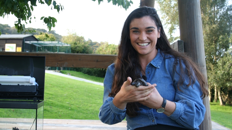 Tessa Fleming, láithreoir