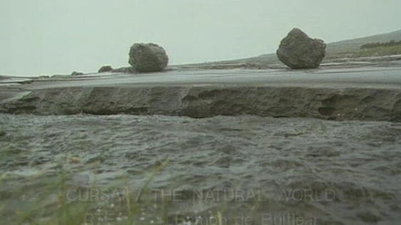 The Late Late Show: The Burren (1992)