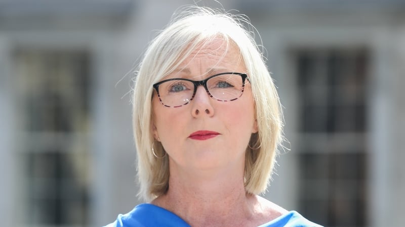 Regina Doherty said the original timeline was to officially launch their campaign at the beginning of the second week of September, which was drawing near (File image)