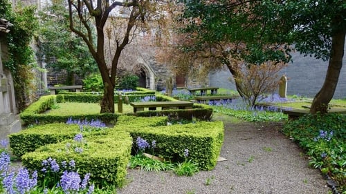 The Huguenot cemetery in central Dublin