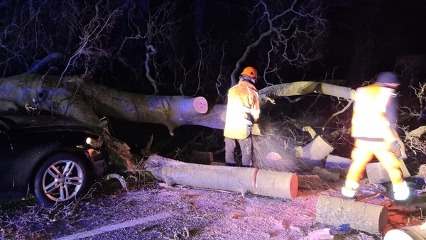 A tree fell on a car at Church Road in Mulhuddart (Pic: Dublin Fire Brigade/Twitter)
