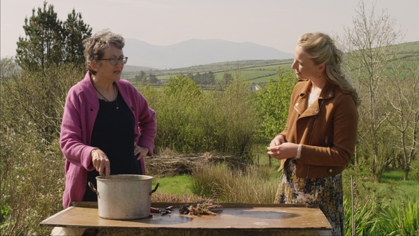 All around the blooming heather: Ireland's mountainous flowers