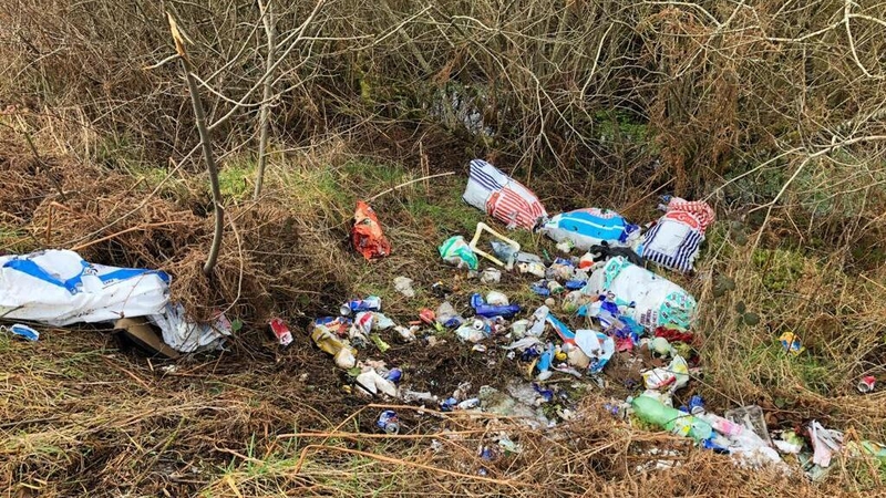Two trailer loads of domestic rubbish was dumped at Carra bog in recent days