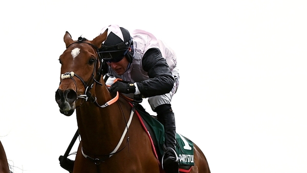 Teahupoo, with Robbie Power aboard, charged to victory in the Red Mills Trial Hurdle